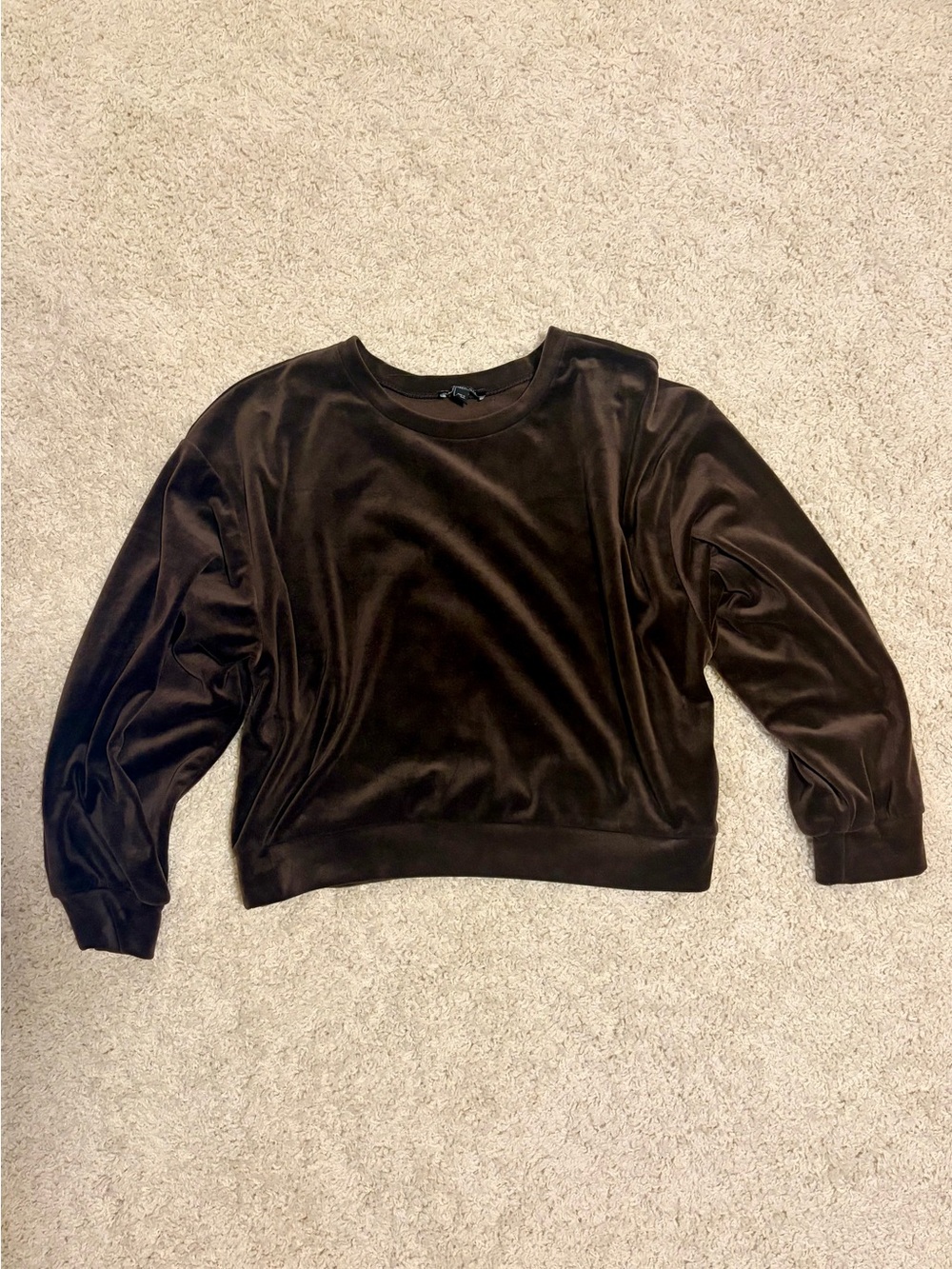EXPRESS Brown Velour Pullover